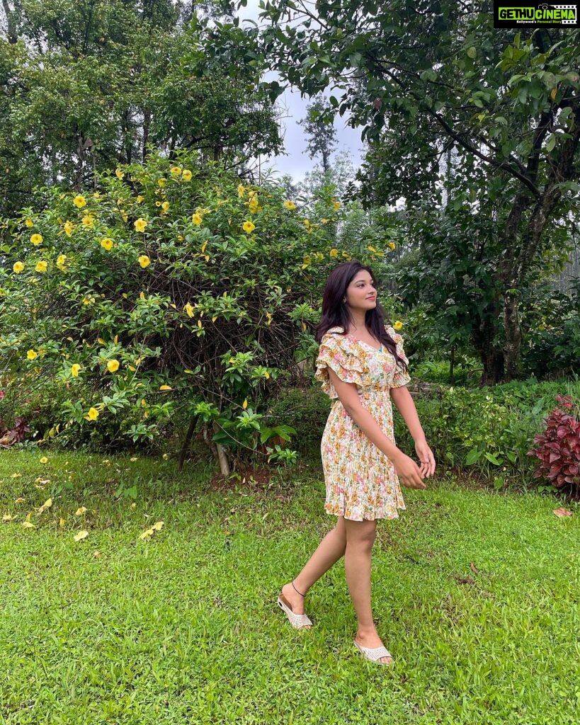 Rachana Inder Instagram - Bright as the future ahead…🌼 👗 @laxmikrishnaofficial 💛 Chikmagalur