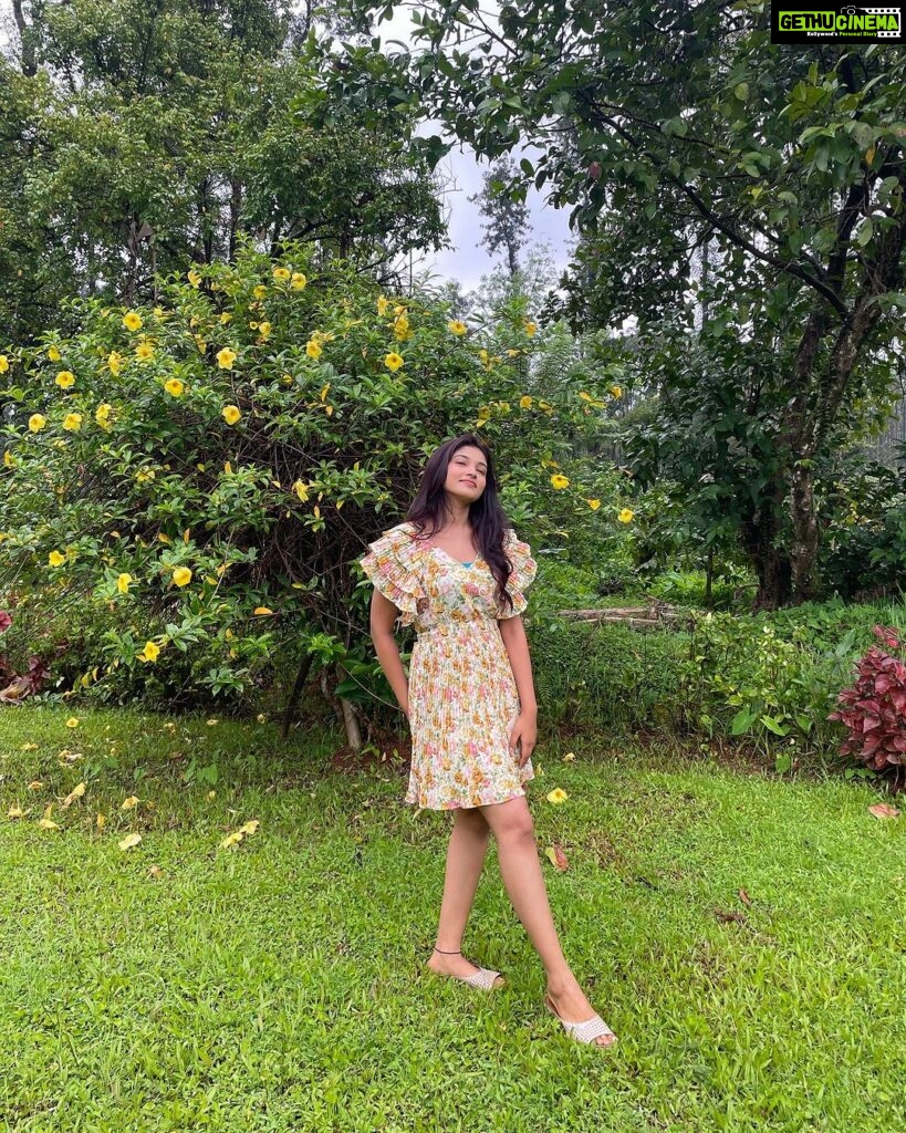Rachana Inder Instagram - Bright as the future ahead…🌼 👗 @laxmikrishnaofficial 💛 Chikmagalur
