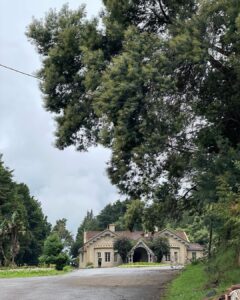 Rachana Inder Instagram - #tbt a year ago. Not my brother and I waking up early to checkout this beautiful place and hear stories of how it was apparently haunted👻. We didn’t doubt them for a second, it was enchanted ✨🫠
 #rachanainder