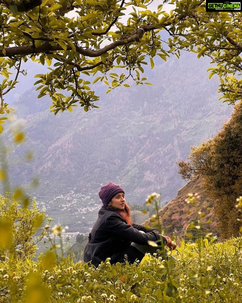 Radhika Narayan Instagram - Colour therapy! 💚 PC: @abhimanyu_sadanandan #green #nature #himachal Naggar Himachal