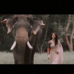 Radhika Narayan Instagram - This project is very close to my heart! Happy Gauri Ganesha everyone!! @prashanthnayaka @visualsofpani @bandipur_tiger_reserve_btr @laxmikrishnaofficial