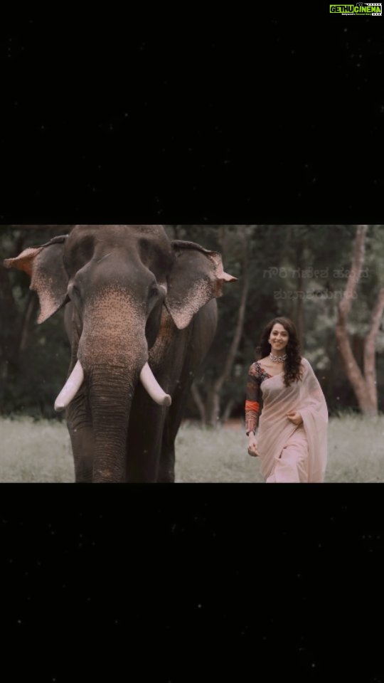 Radhika Narayan Instagram - This project is very close to my heart! Happy Gauri Ganesha everyone!! @prashanthnayaka @visualsofpani @bandipur_tiger_reserve_btr @laxmikrishnaofficial