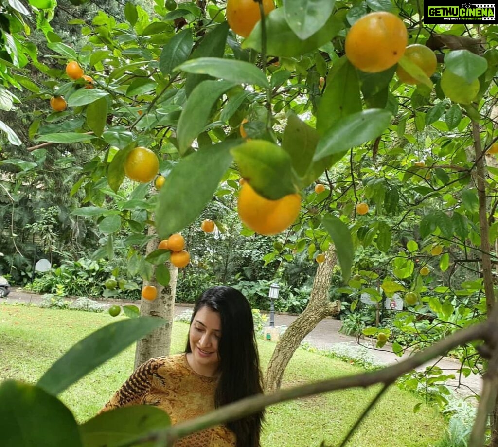 Radhika Pandit Instagram - Under the Orange tree 🍊 Have a great week ahead! #radhikapandit #nimmaRP