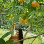 Radhika Pandit Instagram - Under the Orange tree 🍊 Have a great week ahead! #radhikapandit #nimmaRP