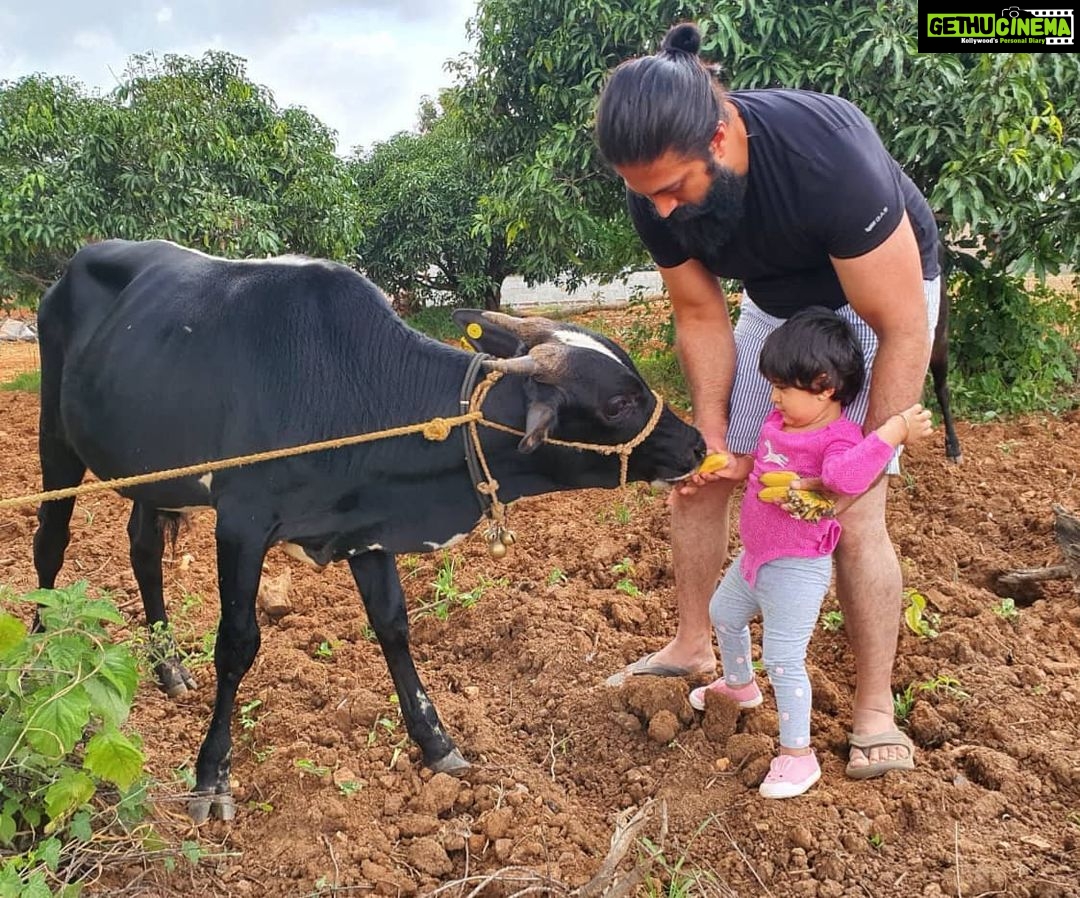 Radhika Pandit Instagram - Farmhouse diaries 😊 #radhikapandit #nimmaRP