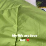 Ragini Nandwani Instagram - Good morning #max #maltese #mybaby #love #puppylove #goodvibes #friday #goodmorning #celebrity #green #saveanimals #loveanimals #pray #newpost