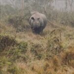 Rakshan Instagram - Nepal