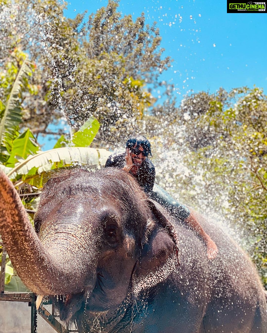 Rakshan Instagram - Happy Vinayaka Chaturthi ❤️🐘