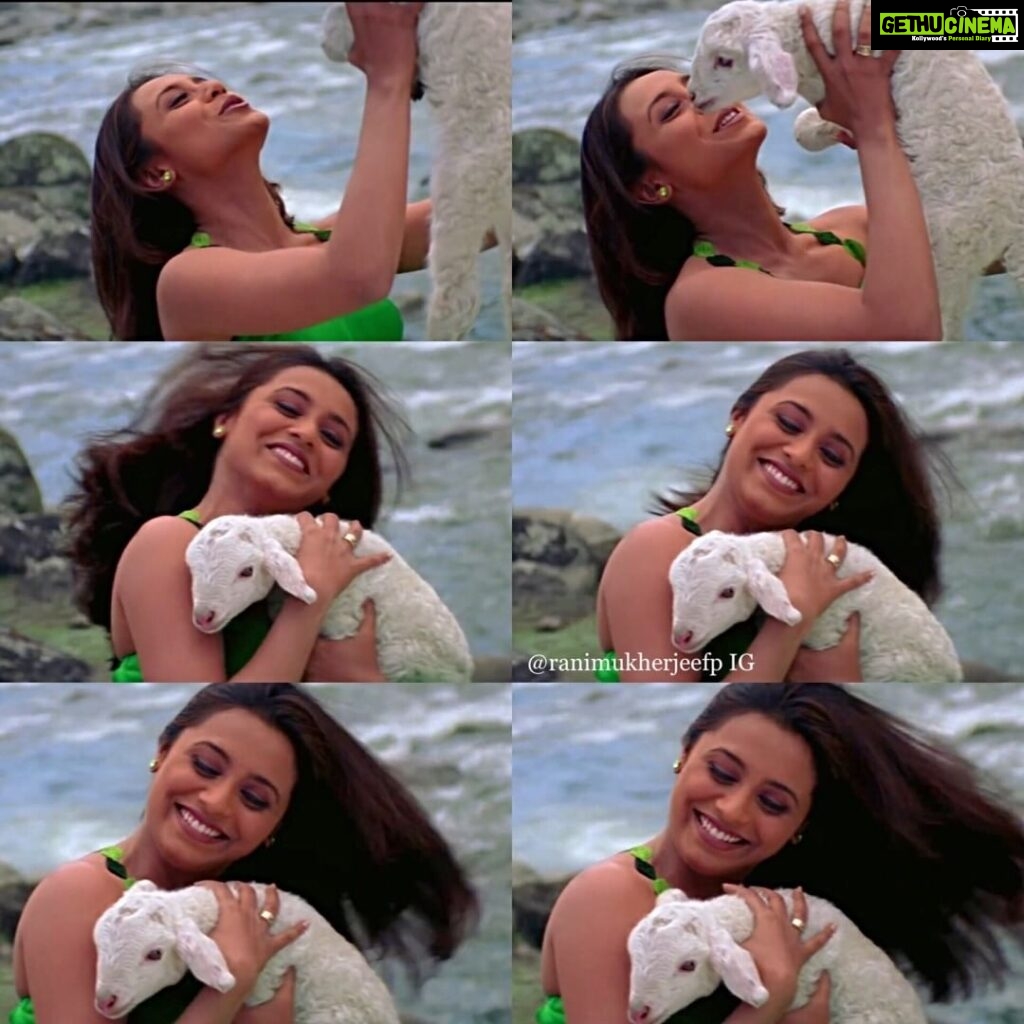 Rani Mukerji Instagram - Me when I see the goats/lambs on Eid Al Adha 😍💘! Eid Al Adha Mubarak to my lovely fellow Muslim brothers and sisters who follow this page and love Rani like me ❤. Enjoy this holy day and cherish this time. ❤🐏❤! Love you all!!!