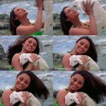 Rani Mukerji Instagram – Me when I see the goats/lambs on Eid Al Adha 😍💘! Eid Al Adha Mubarak to my lovely fellow Muslim brothers and sisters who follow this page and love Rani like me ❤️. Enjoy this holy day and cherish this time. ❤️🐏❤️! Love you all!!!