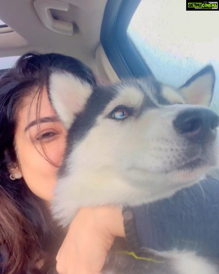 Raveena Tandon Instagram - The week that was…. 1) car trip / farm life ♥️ 2) reluctant Co star Alaska 3) the three Musketeers ♥️ 4)at Govardhan (iskon) Darshan ! 5) a rainy afternoon with the class of 23 . Mumbai, Maharashtra