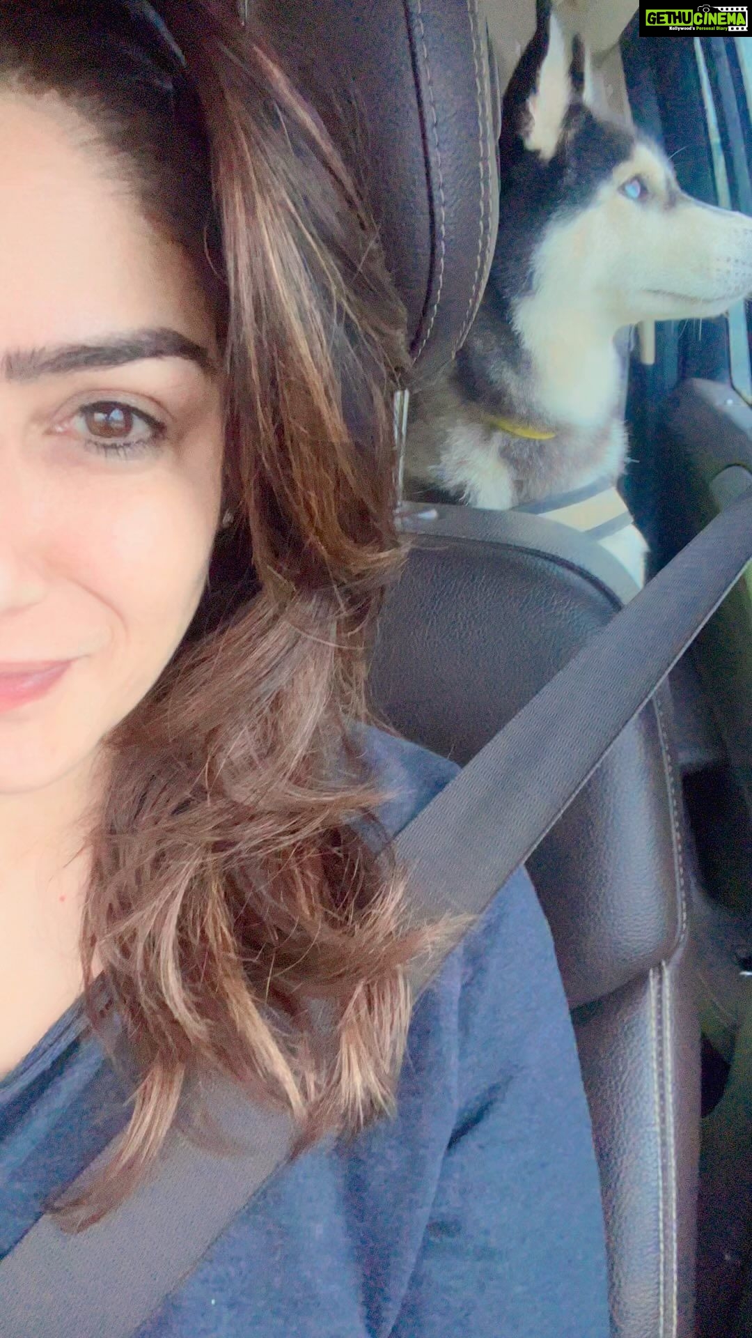 Raveena Tandon Instagram - July! ♥️ #mumbaimonsoon #romancingtherains #farmlife #alaska @livinitupwithlucifer