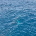 Raveena Tandon Instagram - Always trippin’ together .. #traveldiaries #rashaandi #adventures #ourplanet #whalewatching #goldcoast