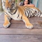 Reeshma Nanaiah Instagram - 🐅 Thailand