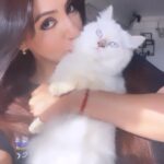 Reyhna Malhotra Instagram - Companionship with purrrrr furrrrr 🐱 🪬❤️