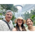 Richa Panai Instagram - Who thought airports could be so much fun❣️😍 #familytime #besttime #jewelchangiairport #butterflygarden #changiairportsingapore #singapore 1&2 - Mom took us to almost all the floors to see Jewel from different angles🤪 3&4 - Killing spare time with random poses 5&6 - Loved this flower pineapple and butterflies enjoying pineapple at butterfly garden 7 - Jewel at its full glory and mom dad video bombing 8 - Mom using chopsticks for the first time like a pro!😍 Changi Airport Singapore