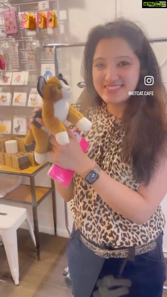 Richa Panai Instagram - Visited this cute little cat cafe called @meowparlour in #newyork It was lot of fun meeting these cute cats while I missed my babies. P.S.- Professional reels are so much hardwork.. thank you to all the influencers who came to our cafe and shared such beautiful reels for us.. this one is dedicated to you all!😻💕 Meow Parlour
