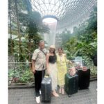 Richa Panai Instagram - Who thought airports could be so much fun❣️😍 #familytime #besttime #jewelchangiairport #butterflygarden #changiairportsingapore #singapore 1&2 - Mom took us to almost all the floors to see Jewel from different angles🤪 3&4 - Killing spare time with random poses 5&6 - Loved this flower pineapple and butterflies enjoying pineapple at butterfly garden 7 - Jewel at its full glory and mom dad video bombing 8 - Mom using chopsticks for the first time like a pro!😍 Changi Airport Singapore
