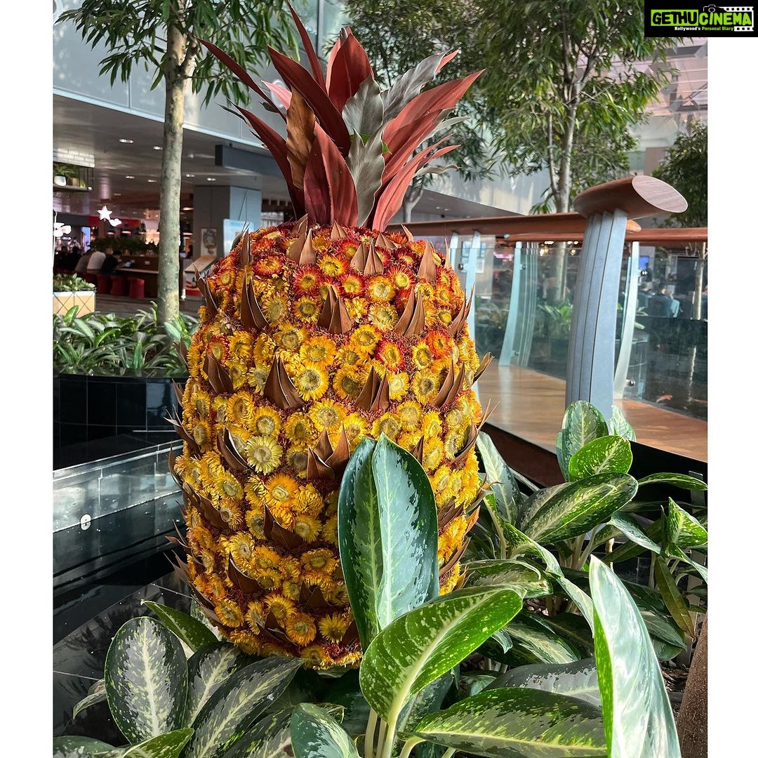 Richa Panai Instagram - Who thought airports could be so much fun❣️😍 #familytime #besttime #jewelchangiairport #butterflygarden #changiairportsingapore #singapore 1&2 - Mom took us to almost all the floors to see Jewel from different angles🤪 3&4 - Killing spare time with random poses 5&6 - Loved this flower pineapple and butterflies enjoying pineapple at butterfly garden 7 - Jewel at its full glory and mom dad video bombing 8 - Mom using chopsticks for the first time like a pro!😍 Changi Airport Singapore