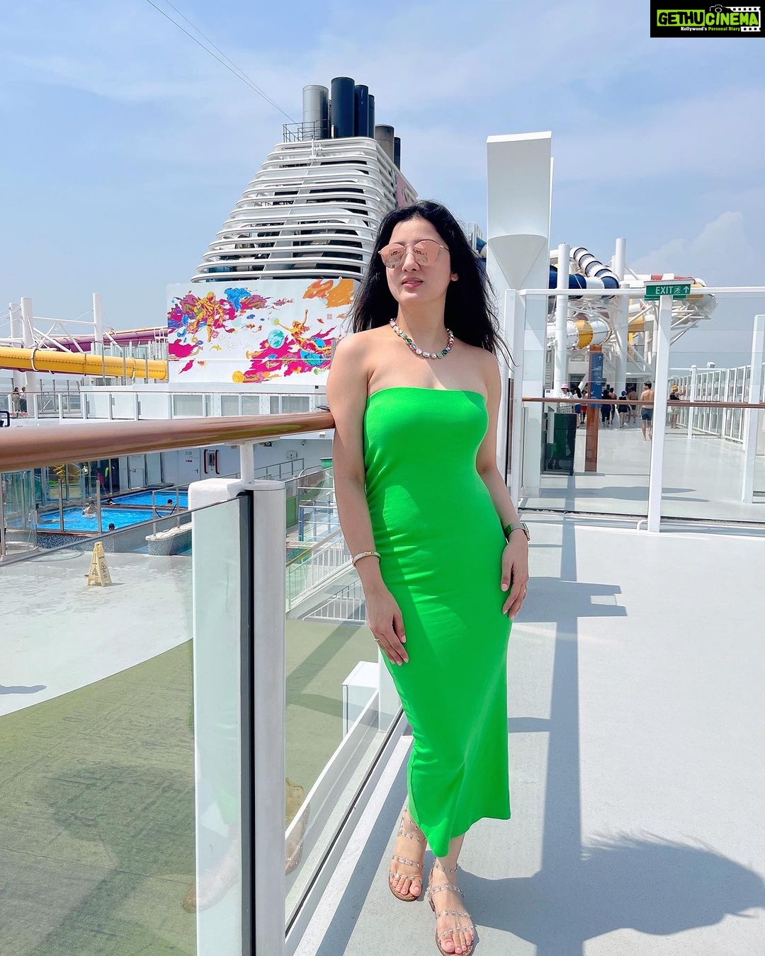 Richa Panai Instagram - Cruising dreams!💚🧚🏻♀️ #dreamliner #cruiseship #cruisevacation #cruiselife #singapore Singapore