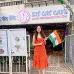 Richa Panai Instagram - Happy Independence Day!!🇮🇳 #jaihind #proudindian #happyindependenceday #15thaugust KIT CAT CAFE