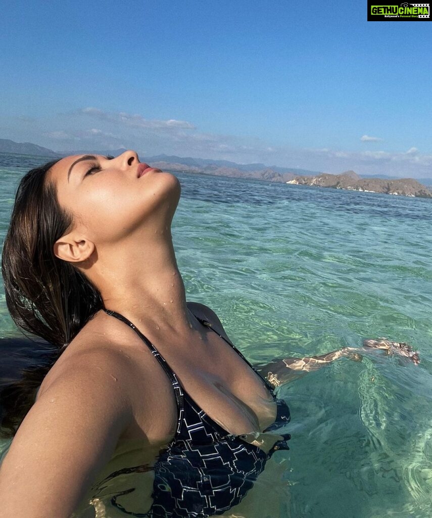 Riya Sen Instagram - Vitamin sea and me *ੈ✩‧₊˚🐋 #beautiful #sea #life #travel Manta Bay