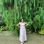 Riythvika Instagram - 🌲 Avatar: The Experience