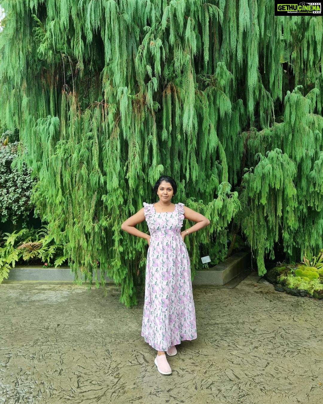 Riythvika Instagram - 🌲 Avatar: The Experience