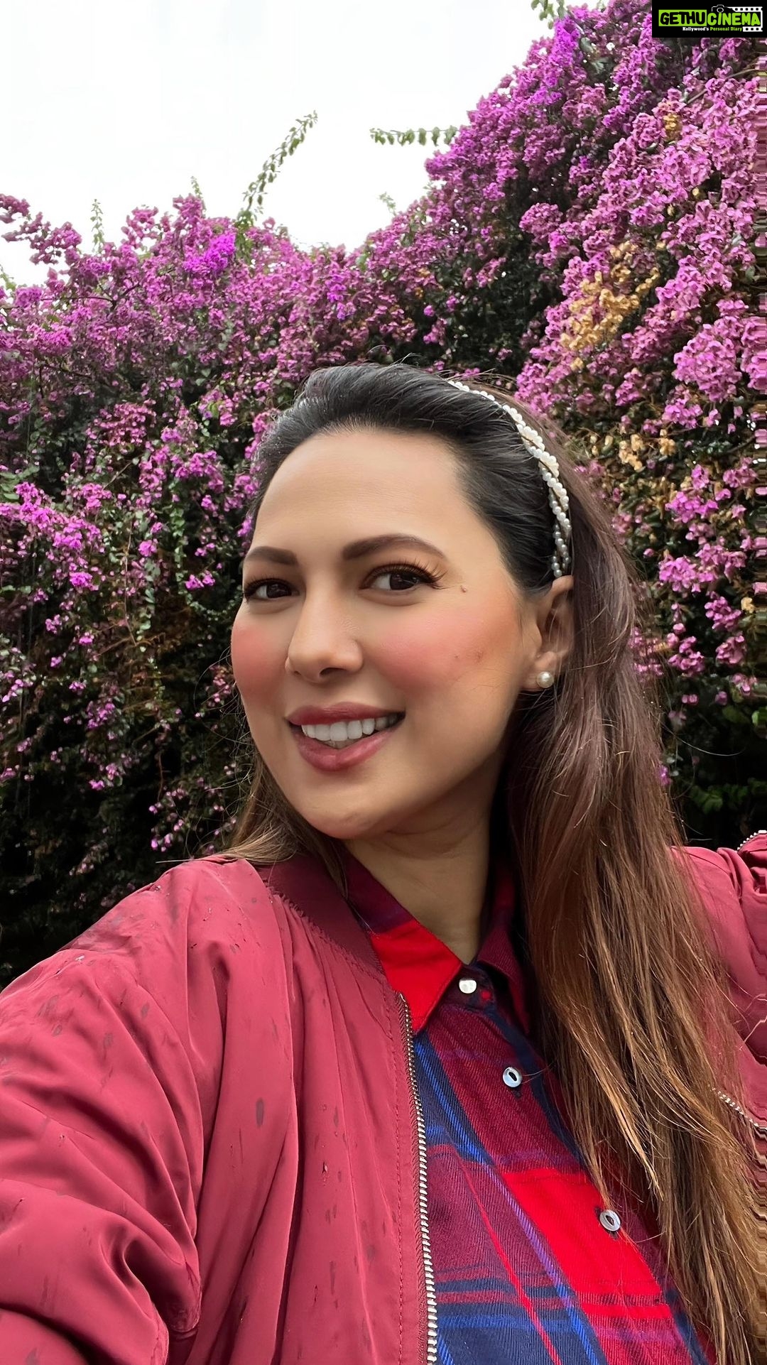 Rochelle Rao Instagram - #throwback to my solo #babymoon - GUESS WHERE? If you were following me you will remember where I travelled or else there’s a clue in the video as well.. Comment with your answers.. @lisabocarro thanks for such a fun and rejuvenating trip! Can’t wait to head back to Conoor again soon…