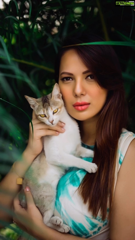 Rochelle Rao Instagram - #cocochanel said it not me! Hehe.. do you agree?? Met this beauty in Nepal, so I guess it’s true, no matter where I go there’s a cat by my side!