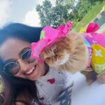 Roopal Tyagi Instagram - I’d rather spend my time with animals than humans. Cutest birthday party I’ve attended 🥹😻 Happy Birthday @plowythecat you’re an Angel. Stay blessed 🐱