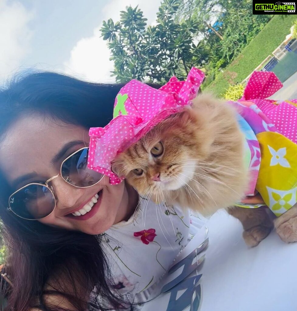 Roopal Tyagi Instagram - I’d rather spend my time with animals than humans. Cutest birthday party I’ve attended 🥹😻 Happy Birthday @plowythecat you’re an Angel. Stay blessed 🐱