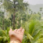 Roopal Tyagi Instagram – Kerala trip #photodump 💚 🌳 🏔️ 

#wayanad #kerala #periyar #treehouse #naturelovers #green #familytrip Wayanad വയനാട്
