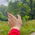 Roopal Tyagi Instagram - Kerala trip #photodump 💚 🌳 🏔️ #wayanad #kerala #periyar #treehouse #naturelovers #green #familytrip Wayanad വയനാട്
