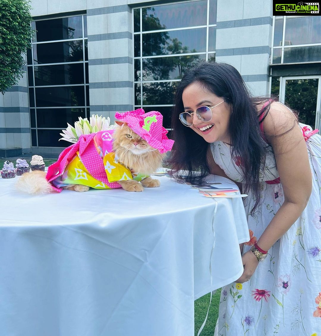 Roopal Tyagi Instagram - I’d rather spend my time with animals than humans. Cutest birthday party I’ve attended 🥹😻 Happy Birthday @plowythecat you’re an Angel. Stay blessed 🐱