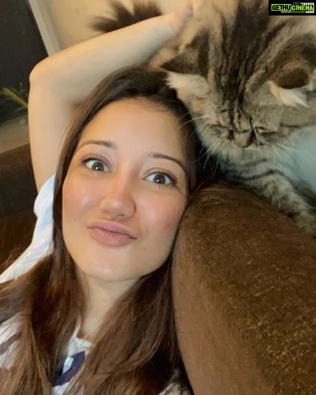 Roshmi Banik Instagram - That was a cat–astrophe ! 🐾 . . @raysthebar69 . #cat #catsofinstagram #petlovers #love #catmom #oscar #babygirl #cute