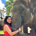 Ruhani Sharma Instagram - No caption needed you can see it all on my face 🥹 I’m the happiestttttt around animals ♥️