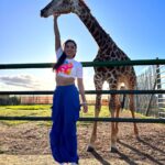Ruhi Chaturvedi Instagram - See Maa - I touched a Giraffe 🦒 . . . Styled by @stylebysaachivj Thank you @colorstv for this ❤️ . . #bestexperienceever #khatrokekhiladi13