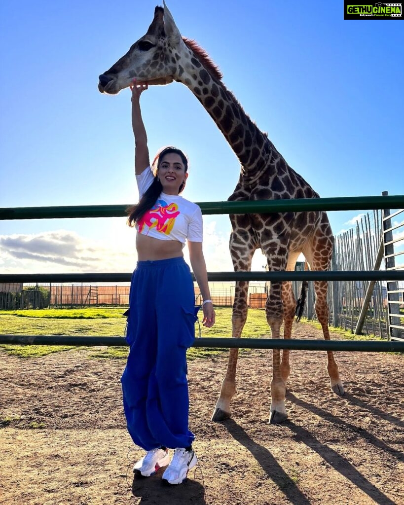 Ruhi Chaturvedi Instagram - See Maa - I touched a Giraffe 🦒 . . . Styled by @stylebysaachivj Thank you @colorstv for this ❤️ . . #bestexperienceever #khatrokekhiladi13