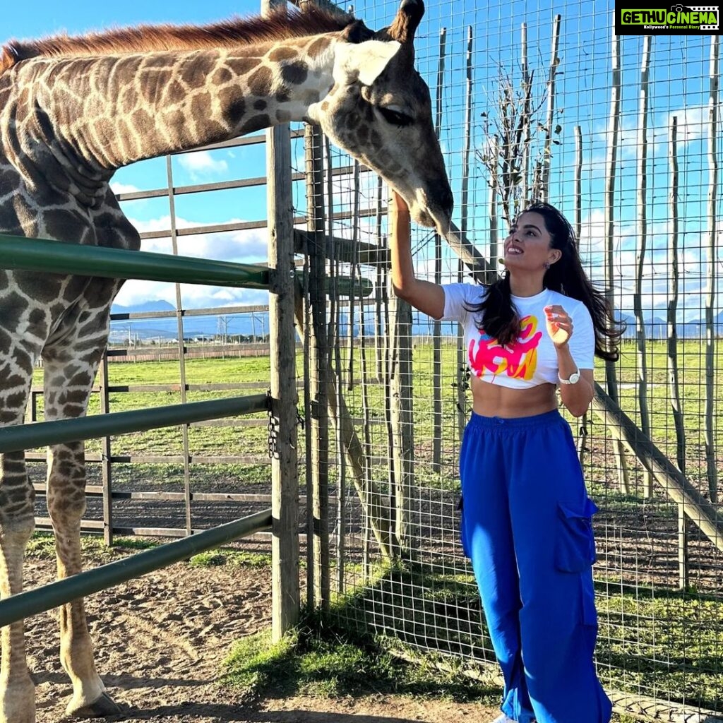 Ruhi Chaturvedi Instagram - See Maa - I touched a Giraffe 🦒 . . . Styled by @stylebysaachivj Thank you @colorstv for this ❤ . . #bestexperienceever #khatrokekhiladi13