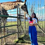 Ruhi Chaturvedi Instagram - See Maa - I touched a Giraffe 🦒 . . . Styled by @stylebysaachivj Thank you @colorstv for this ❤️ . . #bestexperienceever #khatrokekhiladi13