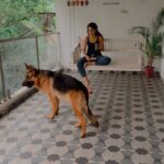 Rukmini Vijayakumar Instagram - Day 49: #100daysofinnergrowth I feel like our dogs take on a much larger emotional role in our lives than we care to acknowledge. Our pets greet us with affection and brimming happiness whenever they see us. They are joyous playing the silliest of games…. they respect us, love us. They’re loyal. They are happy with the most simple routines and truly enjoy living in the moment . Their love is unconditional and their needs are basic. As humans there are many of us who truly try our best to care for our pets, but there are also so many of us who seek their love when we need it and don’t really think about what we need to give them. Kong’s company is therapeutic in a way that I cannot explain. It’s been a very long time since I had my full attention on a walk or a ball being thrown. I haven’t had reason to run around the house like a crazy person or jump onto couches… I also hadn’t enjoyed the swing in our house so much until Kong… I’ve learned a lot about myself from Kong’s quiet presence…. And I hope that I’m able to continue to grow this ability to introspect from his simple ways…. Going to miss my family. It is the hardest part of leaving on tour. (Btw, the rest of my family doesn’t like to be on social media. Kong is the only one who doesn’t really know) #gsd #germanshepherd #dogmom #innerjourney #learningfromnature #dog #lifewithkong