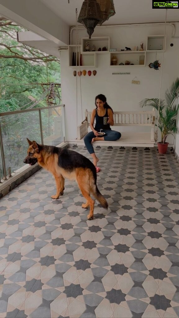 Rukmini Vijayakumar Instagram - Day 49: #100daysofinnergrowth I feel like our dogs take on a much larger emotional role in our lives than we care to acknowledge. Our pets greet us with affection and brimming happiness whenever they see us. They are joyous playing the silliest of games…. they respect us, love us. They’re loyal. They are happy with the most simple routines and truly enjoy living in the moment . Their love is unconditional and their needs are basic. As humans there are many of us who truly try our best to care for our pets, but there are also so many of us who seek their love when we need it and don’t really think about what we need to give them. Kong’s company is therapeutic in a way that I cannot explain. It’s been a very long time since I had my full attention on a walk or a ball being thrown. I haven’t had reason to run around the house like a crazy person or jump onto couches… I also hadn’t enjoyed the swing in our house so much until Kong… I’ve learned a lot about myself from Kong’s quiet presence…. And I hope that I’m able to continue to grow this ability to introspect from his simple ways…. Going to miss my family. It is the hardest part of leaving on tour. (Btw, the rest of my family doesn’t like to be on social media. Kong is the only one who doesn’t really know) #gsd #germanshepherd #dogmom #innerjourney #learningfromnature #dog #lifewithkong