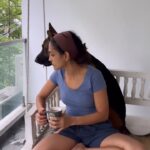 Rukmini Vijayakumar Instagram - Wait for it…. 🤣 (Sound on) #doorbell #gsd #germanshepherd #guarddog #kong #dogmom #lifewithkong
