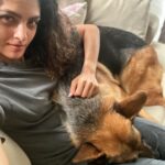 Rukmini Vijayakumar Instagram - I cherish the few times in the day that Kong wants to cuddle or fall asleep leaning on me… ♥️ He just comes for an hour - early mornings - and continues sleeping…. The sweetest thing. #dogmom #gsd #lifewithkong #germanshepherd #doglife