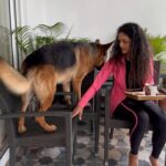Rukmini Vijayakumar Instagram – Kong is the best morning companion. Run, walk, play, train and drink tea while people watching. 

He always wants to sit wherever we sit. Chair – couch – swing …. He doesn’t want to be left out. 

😂 he usually manages to sit on the chair like a human, but he was a little confused that morning. 

Miss him already… and I haven’t even landed yet 🙄

#kong #lifewithkong #gsd #dogmom #germanshepherd #kingkong #lovemydog #happy