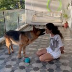 Rukmini Vijayakumar Instagram - I’m trying to teach him to tap with his feet or nose. Want to eventually try to make him learn some of the talking buttons. This literally took me less than 5 mins to teach him. He got distracted with this bruise I had on my leg and wanted to make sure that I was ok. He got reactive when 3 dogs on the street came at us together as a pack and my thigh got in the way… between him and the dogs. He followed me around all day that day and kept trying to lick my wound and make sure that I was ok ♥️ It has almost healed now… but he keeps checking on it #lifewithkong #gsd #dogmom #germanshepherd #lovemydog #training