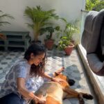 Rukmini Vijayakumar Instagram – A dogs life !! 

#lifewithkong #dogmom #kong #gsd #thisislife #germanshepherd #grooming #funnydog