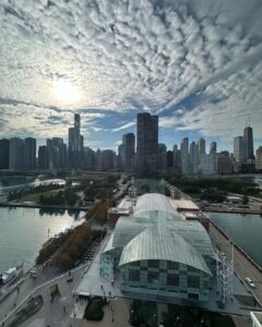 Rukmini Vijayakumar Instagram - I’ve been to Chicago several times…. But this is the first time that I spent a day doing all the touristy things… and I loved it 😁

#skydeck #chicago #navypier #willistower #visitchicago #dancerlife #tour
