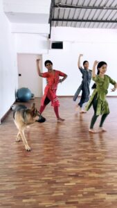 Rukmini Vijayakumar Instagram - Thought this one had to be a reel . Kong trying to be a part of “The Goddess” choreography… 🤣

Come watch us perform 
Chennai October 20th 
Bangalore November 10th
Hyderabad December 17th 

Only one week for #Chennai . Get your tickets soon! “The Goddess”

Ticket links in my bio 

& www.dancerukmini.com

@cycle.in_ presents @raadhakalpa ‘s production to celebrate the 75th Anniversary. 

Supported by @cycle.in_ 
Choreography @dancerukmini
Music production @ambisub 
Featuring artists and composers: @raghuramvocals @ambisub @shyam_rhythmgam @khanjiraboy @keerthanavaidyanathan 

Dancers: @padmashree.ks @vadhani.asokan @priya.classical @samyukthajujare @anushayash @surabhigopal reanna & manasvee @raadhakalpa 

Video @vivianambrose 
Light design @gyandev 

#thefemale #goddess #devi #maharajni #sundari #divinity #indianculture #bharatanatyam #karanas #bharatnatyam
